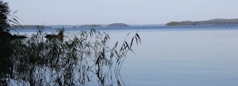 Koskipuisto